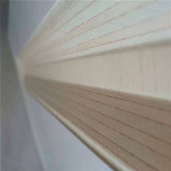 Μπορεί να αποθηκευτεί το κόντρα πλακέ στον υπαίθριο αέρα -- 山东云速网络 --4 组 -- 刘洁