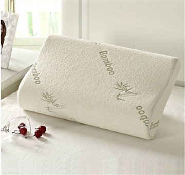 Οικακομιστής